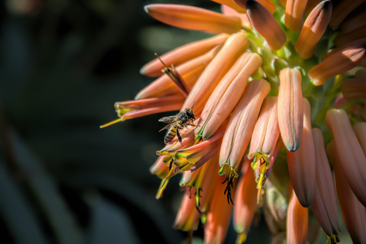 People behind community broadcasting